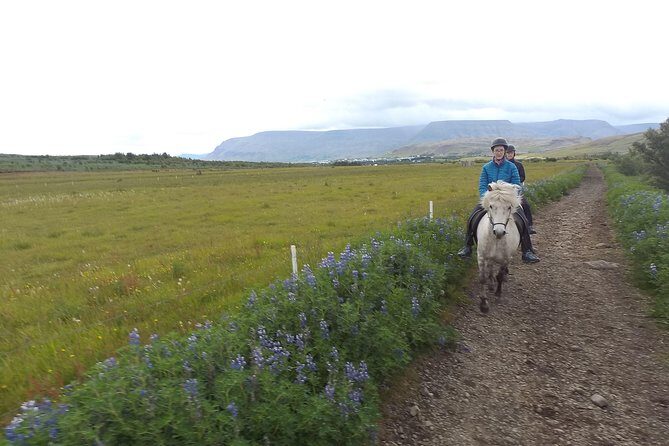 1+ hour Private Horse riding tour from Reykjavík/Mosfellsbær - A Well-Rounded, Authentic Icelandic Experience