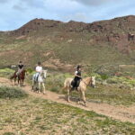 1 hour relaxing horse riding tour in Gran Canaria - What Real Travelers Say