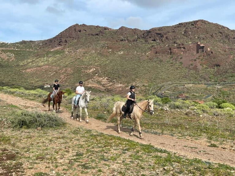 1 hour relaxing horse riding tour in Gran Canaria - What Real Travelers Say