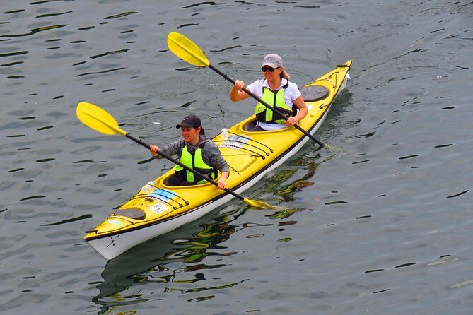 1 Hour Rental Deluxe Double Sea Kayak - Real Traveler Insights