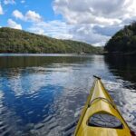 1 Hour Rental in a Deluxe Double Sea Kayak - What Makes This Kayaking Tour Stand Out?