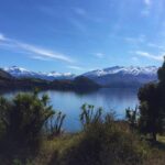 1-Hour Ruby Island Cruise and Walk from Wanaka - An In-Depth Look at the Ruby Island Experience