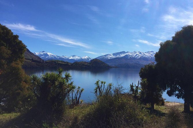 1-Hour Ruby Island Cruise and Walk from Wanaka - An In-Depth Look at the Ruby Island Experience