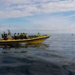1-Hour Small Group Sightseeing Boat Tour in Vestmannaeyjar - Practical Details and Value