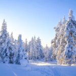 1-Hour Snowmobile Safari Adventure in Rovaniemi - Why This Tour Offers Good Value