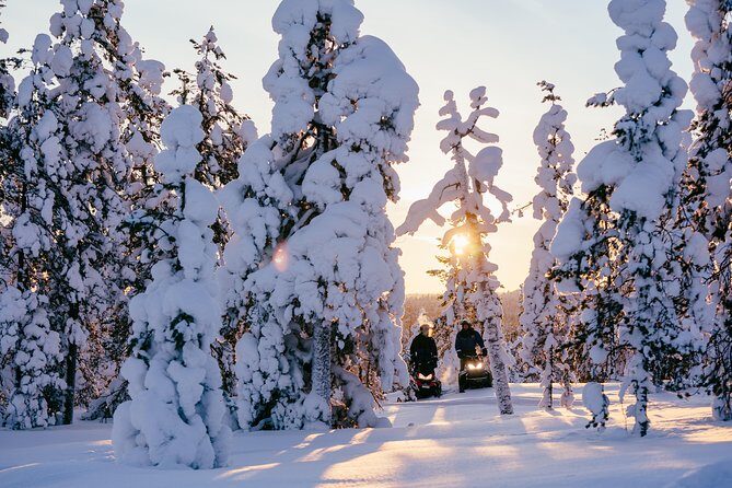 1-Hour Snowmobile Safari Experience - The Itinerary: From Meeting to Snowmobile Trails