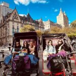1 or 2 hour Central Park Pedicab Tour. - A Closer Look at the Central Park Pedicab Tour