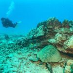 1 Tank Discover Scuba at Koloa Landing with No Experience needed - What to Expect from Your Kauai Underwater Adventure