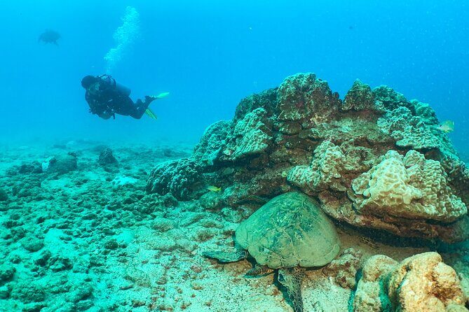 1 Tank Discover Scuba at Koloa Landing with No Experience needed - What to Expect from Your Kauai Underwater Adventure