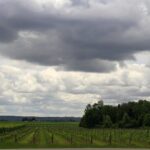 10-Hour Napa Valley Wine Tasting Tour Customized Private Tours - FAQ