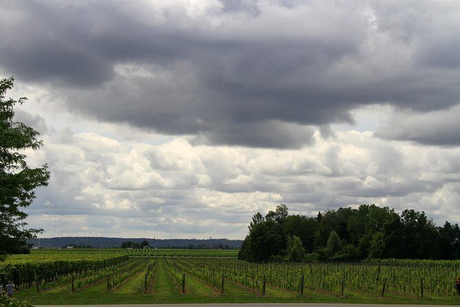 10-Hour Napa Valley Wine Tasting Tour Customized Private Tours - FAQ