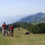 11-Day Private Lite Tour Across Switzerland by Bike from Geneve - Analysis of Price and Value