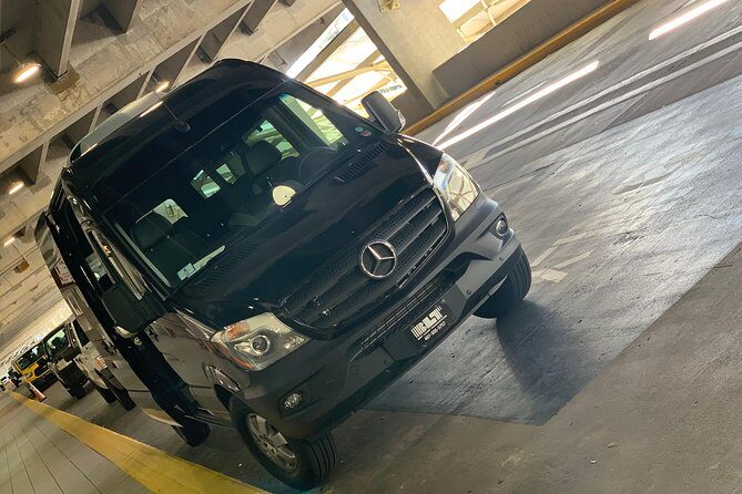 11 Passengers Van Port Canaveral to Orlando Airport - Overview of the 11 Passengers Van Port Canaveral to Orlando Airport Experience