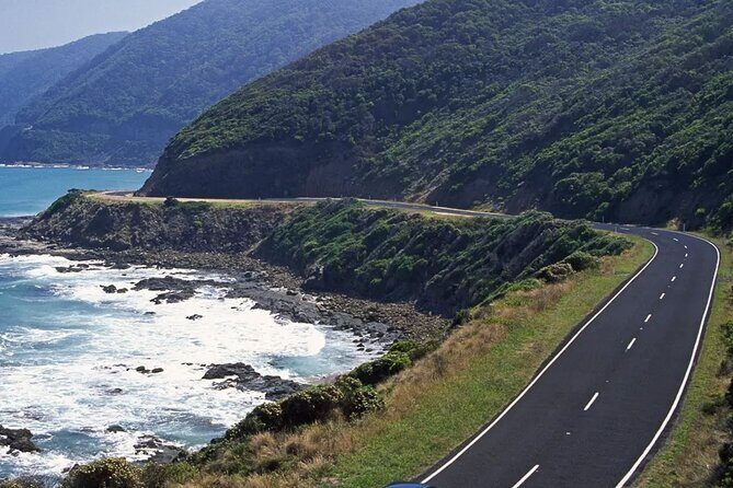 12 Apostles Great Ocean Road Tour From Melbourne - Who Should Consider This Tour?