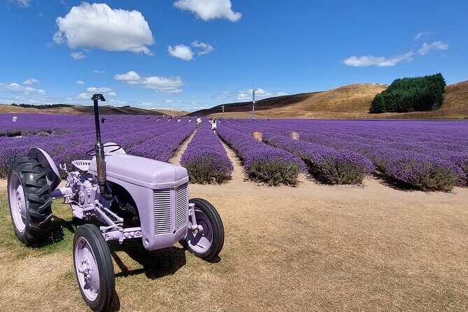 12 Day New Zealand Private Tour from Auckland to Stewart Island - Who Would Love This Tour?