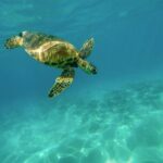 12 Day Private Tour at Ancient Greece with Zakynthos & Santorini - What Reviewers Say