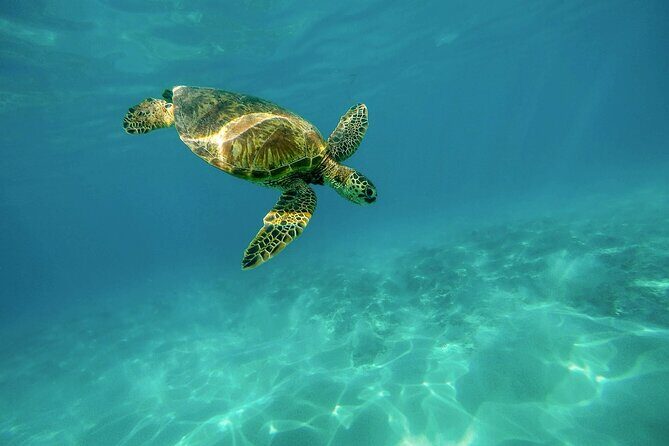 12 Day Private Tour at Ancient Greece with Zakynthos & Santorini - What Reviewers Say