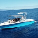 12 Passenger Kaanapali Beach Whale Watch tour. Onboard Whale Mic - FAQ Section