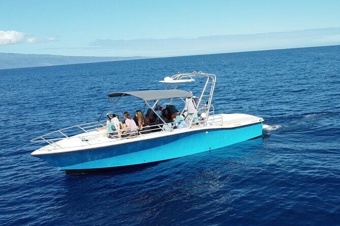12 Passenger Kaanapali Beach Whale Watch tour. Onboard Whale Mic - FAQ Section