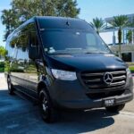 14 Passengers Van private Transfer to/From Port Canaveral One Way - Summary: Who Is This Transfer Best For?