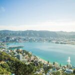 15-Minute Wellington Harbour Helicopter Flight - The Sum Up: Who Should Consider This Tour?