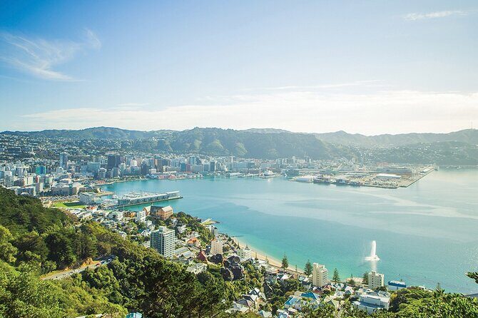 15-Minute Wellington Harbour Helicopter Flight - The Sum Up: Who Should Consider This Tour?
