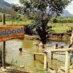 16 Lines Zipline, Cave and Mud Spa Combo Tour with Lunch in Fiji - Who Should Consider This Tour?