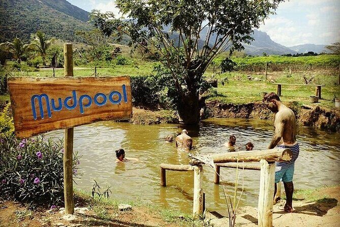 16 Lines Zipline, Cave and Mud Spa Combo Tour with Lunch in Fiji - Who Should Consider This Tour?