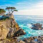 17 Mile and Pebble Beach Tour from Los Angeles to San Francisco - Transportation and Group Size