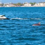 1hr Jet Ski Safari - The Thrill of Riding the Waves