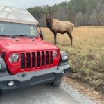 2.5-3 hour Smoky Mountain Cherokee Blue Ridge Parkway Safari tour - Final Thoughts