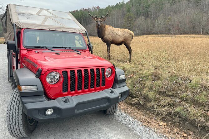 2.5-3 hour Smoky Mountain Cherokee Blue Ridge Parkway Safari tour - Final Thoughts