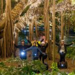 2.5 Hour Brisbane: Sightseeing Tours - Morning & Night - How This Tour Unfolds: A Step-by-Step Breakdown