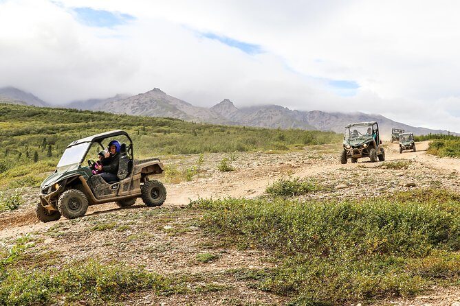 2.5-Hour Denali Wilderness ATV Adventure Tour - The Details of the Denali Wilderness ATV Tour