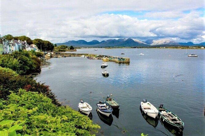 2.5 Hour Guided Sea Kayaking in Roundstone Bay - Final Thoughts