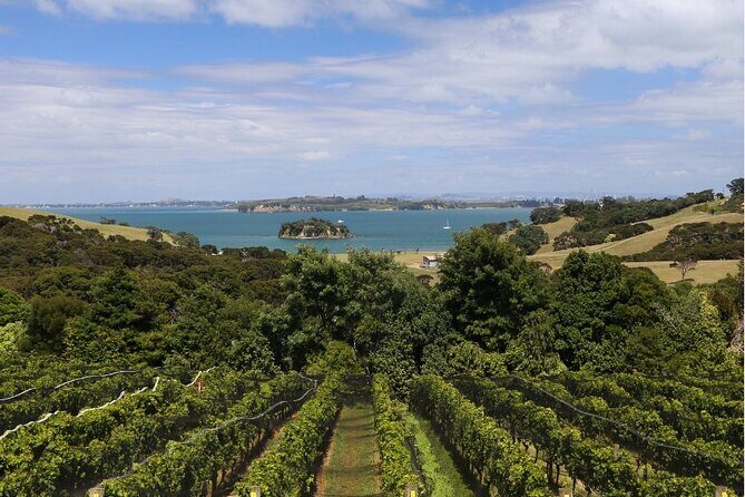 2.5 Hours Wine Tour in Waiheke Island for Cruise Ship Travelers - What Makes This Tour Stand Out
