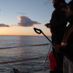 2.5h Sunset Navigation with Azorean appetizers and Wine - Who Should Consider This Tour?