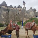 2 Day Cappadocia, Istanbul Flights, Hotel, Entrance Includes - Final Thoughts: Who Will Love This Tour?