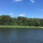 2-day excursion to Bad Saarow - Practical Details and Considerations