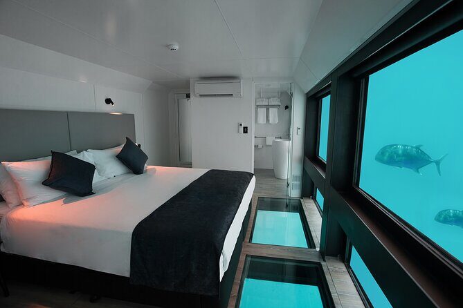 2 Day Great Barrier Reef "Reefsuites" Experience - Final Thoughts: Is the Reefsuite Tour Right for You?