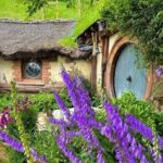 2 Day Hobbiton Waitomo Caves Raglan Private Tour from Hamilton - What Travelers Say