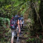 2-day Private Overnight Hurunui River Hot Springs Hike or Bike - Who Is This Tour Perfect For?