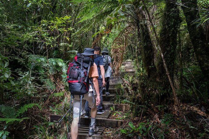 2-day Private Overnight Hurunui River Hot Springs Hike or Bike - Who Is This Tour Perfect For?