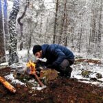 2-Day Small-Group Stockholm Hiking Tours - The Value of This Experience