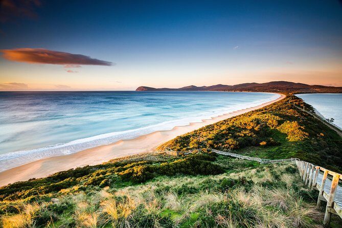 2 Day Tasmanian Highlights Tour - Bruny Island & Port Arthur - Who Should Consider This Tour?