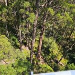 2 Day Tour Busselton Jetty, Ngilgi Cave to Valley of the Giants - Why This Tour Offers Great Value