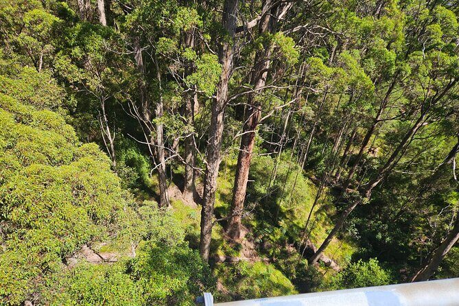 2 Day Tour Busselton Jetty, Ngilgi Cave to Valley of the Giants - Why This Tour Offers Great Value