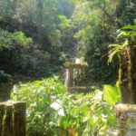 2 day tour Puente de Dios and Xilitla from San Luis Potosí - A Deep Dive Into the 2-Day Tour: What to Expect
