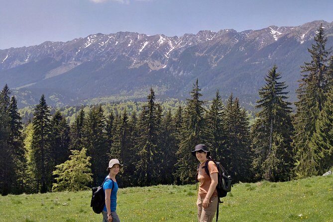 2-Day Transylvania Culture Trek from Brasov - Small Group Tour - Who Should Book This Tour?