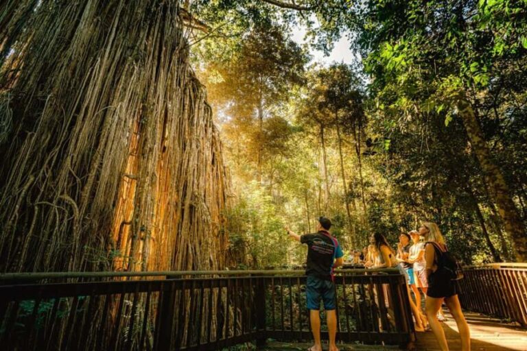 2-Day Waterfall and Daintree Tour - Final Thoughts